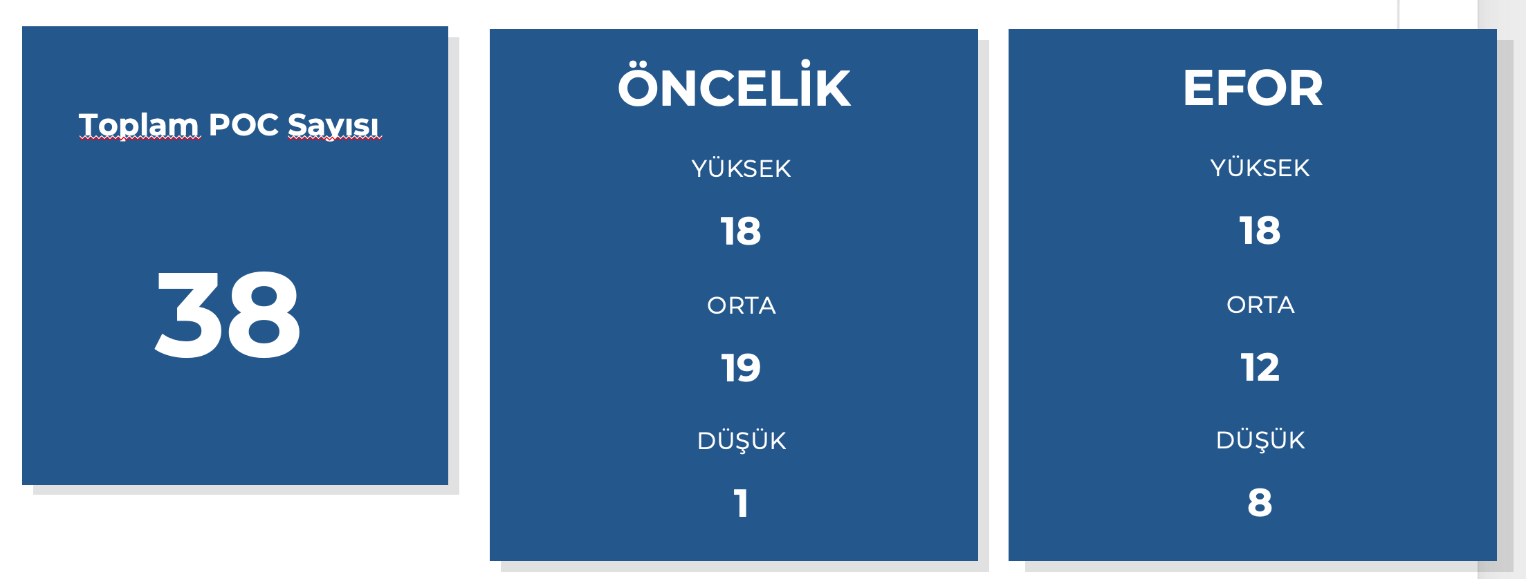 Yönetim için POC özeti
